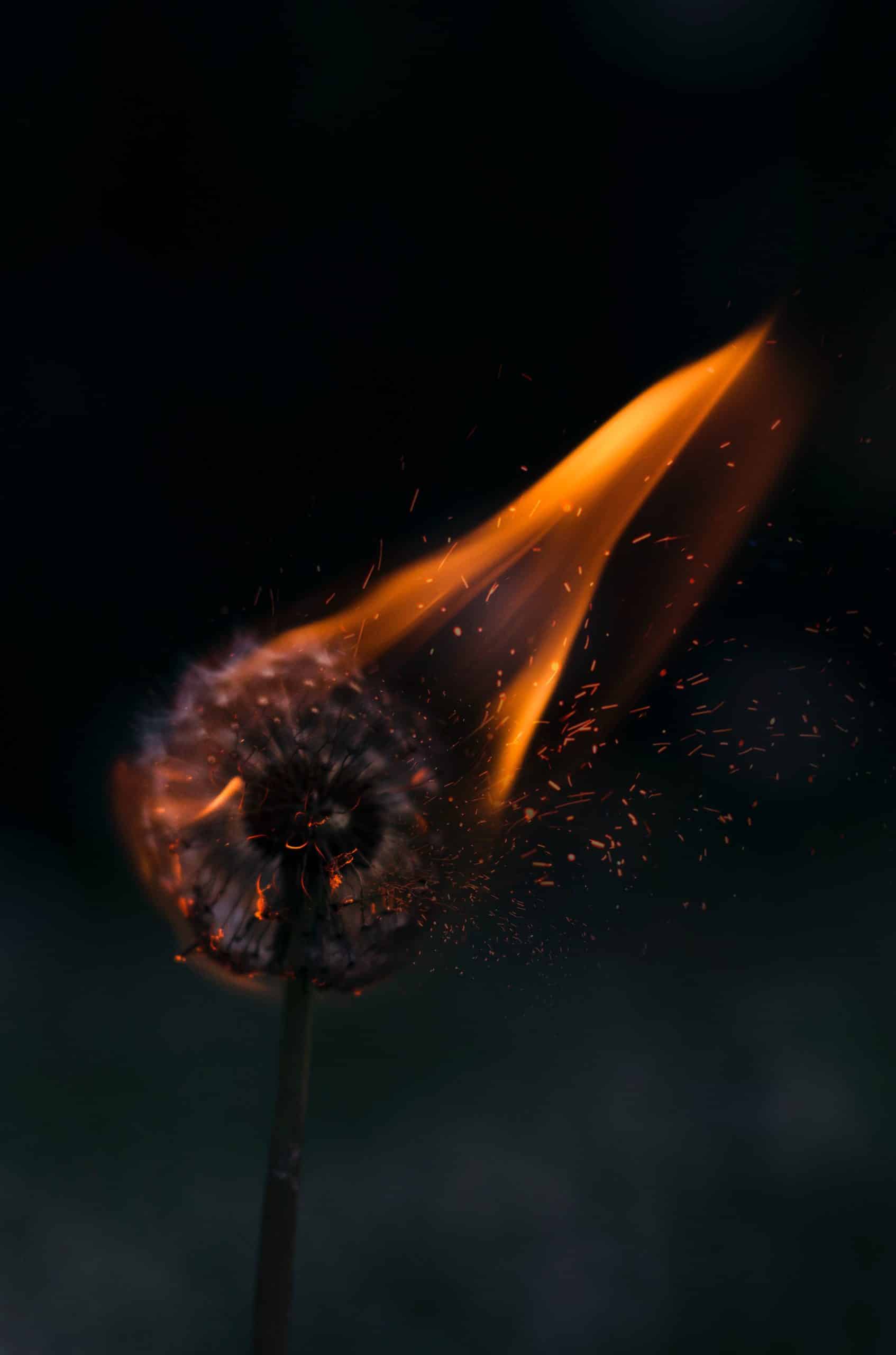 Getting ready for Pentecost, the wild fires will spread!