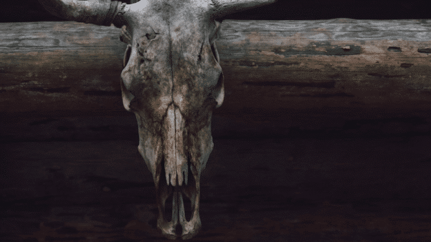 Who is baal? What is the meaning of Baal in the Bible?