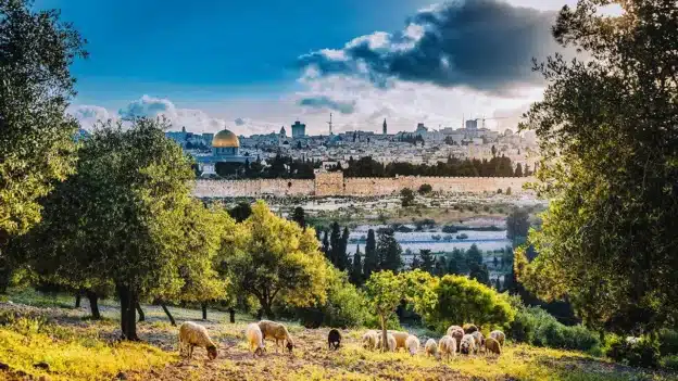 Replacement Theology (Supersessionism): Are We All Israel Now?
