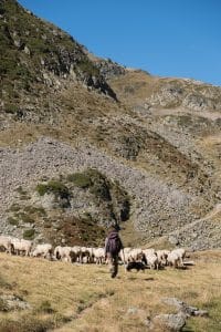 The Lord is my shepherd - Psalm 23