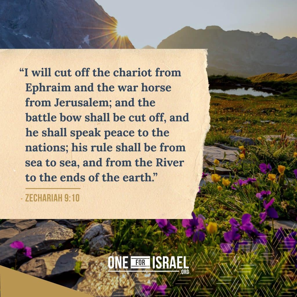 God's end time peace plan in biblical prophecy