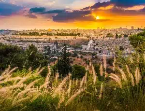 it's rabbinically permissible to sacrifice the red heifers on the Mount of Olives
