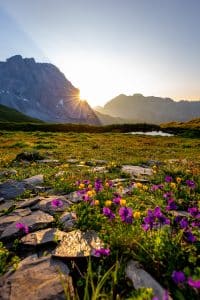 New heavens and new earth