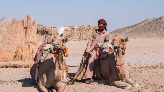 Bedouins live in the south of Israel