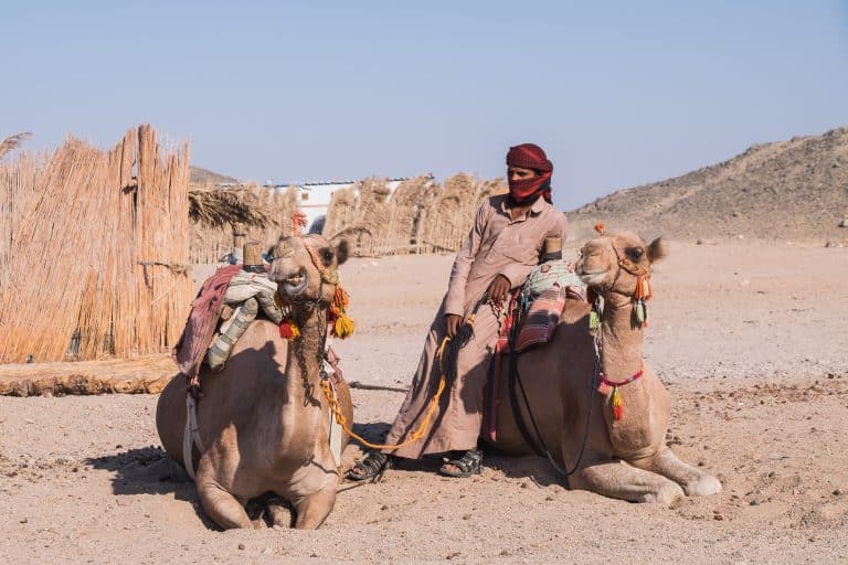 Bedouins live in the south of Israel