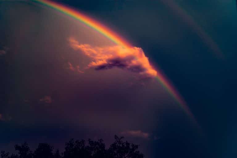 Hope, Rainbows, and God's Covenant of Peace