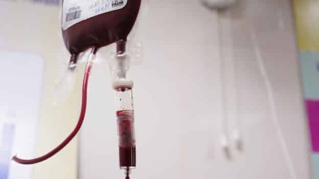 life is in the blood