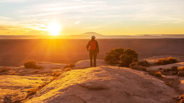 Search and see - Devotional by Seth Postell