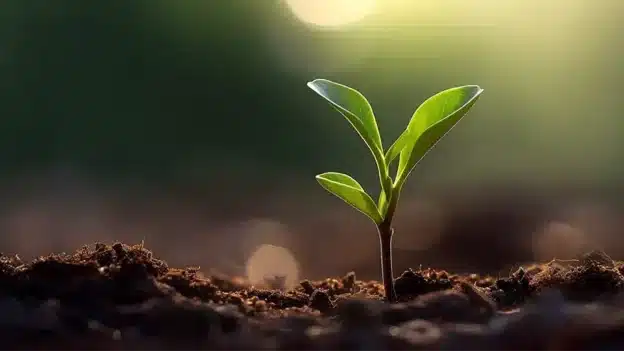 God’s word won’t fail - Devotionals