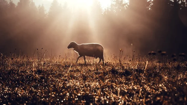 Jesus loves the lost - Devotionals