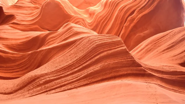 Obed–Edom: the unsung hero – Devotionals