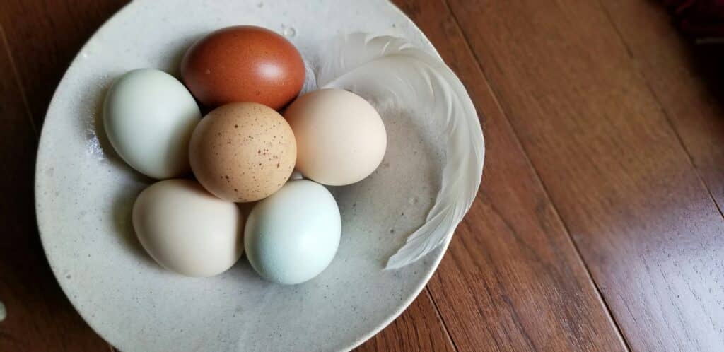 eggs symbolize the resurrection