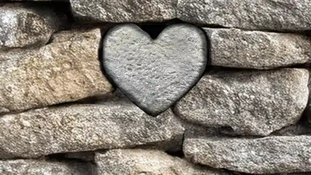 Perfectly loved and completely safe — Devotionals
