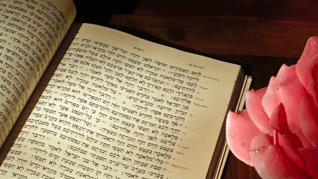 God-given ability to navigate the Scriptures — Devotionals