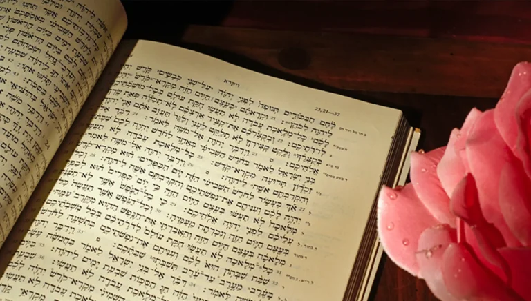 God-given ability to navigate the Scriptures — Devotionals