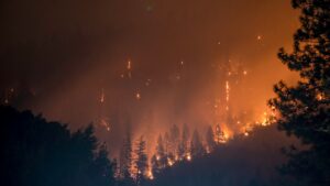 fires in Jerusalem