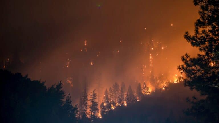 fires in Jerusalem