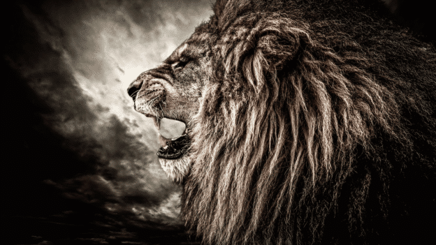 Operation Narnia within operation rising lion