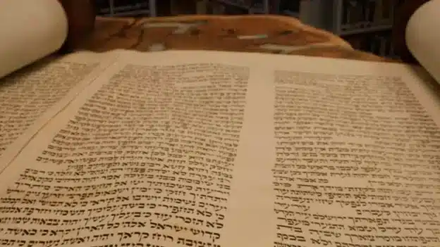 Isaiah 11: The most encouraging prophecies in the Hebrew Bible – Devotionals