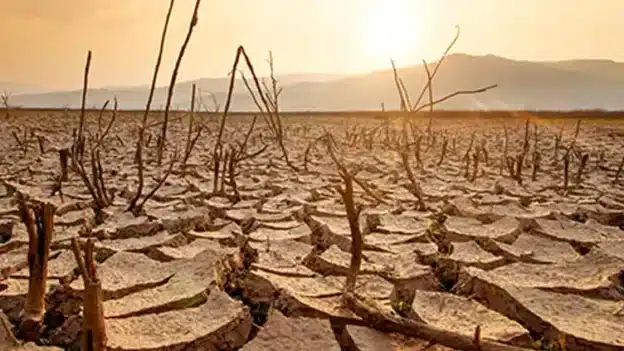 Mikveh of Israel: Our Living Hope - Devotional