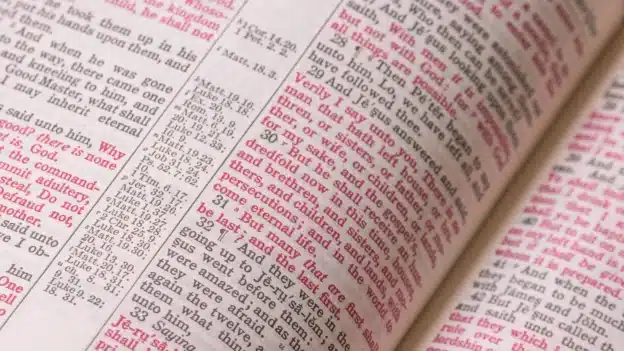 devo_Who_Put_Jesus_in My_Bible?