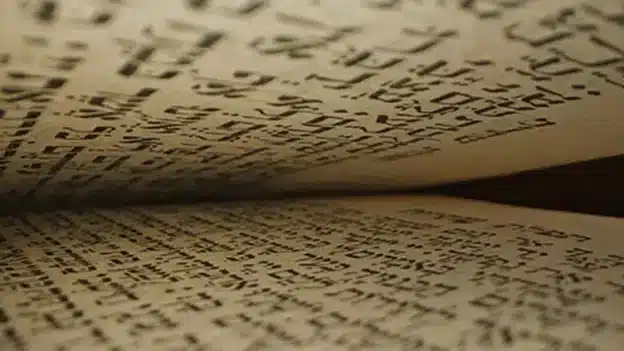 Jeremiah’s Book of Consolation - Devotional