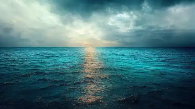 The Blessed Path of the Messiah - Devotional