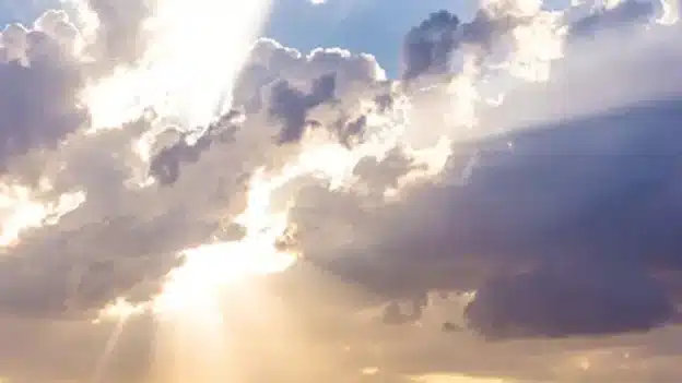 Grace in the Midst of Judgment - Devotional