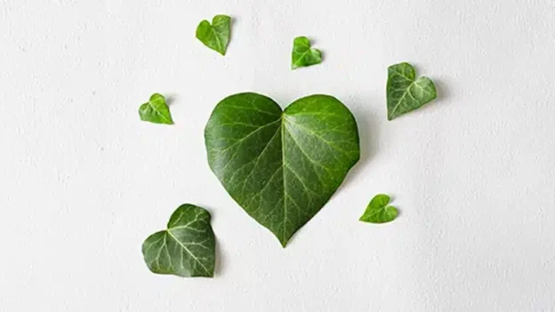 The Jealous Love of God - Devotional