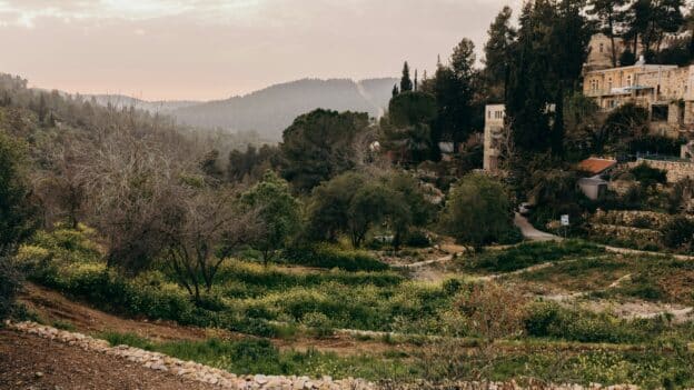 Evergreen trees in Ein Kerem, Israel, representing the everlasting God and eternal life