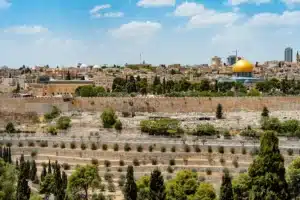 Jerusalem Landscape