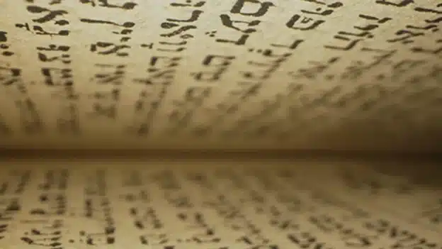 Search the Jewish Scriptures! - Devotional