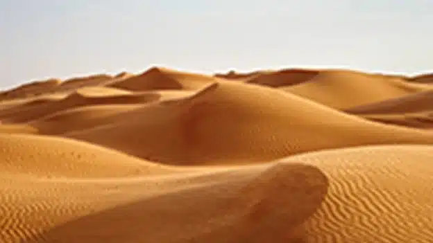 The Desert That Leads Us Home - Devotional
