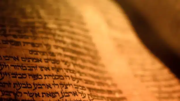 To Whom Shall We Go? - Devotional