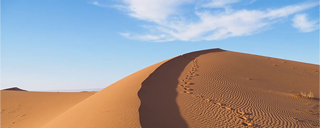 From distance to presence a daily devotional from Psalm