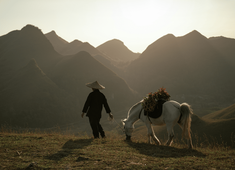 Chinese wisdom on coping with times of dire straits