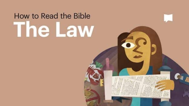 Course cover: beige background with the title 'How to Read the Bible' and 'The Law' alongside an abstract illustration of a person holding a scroll.