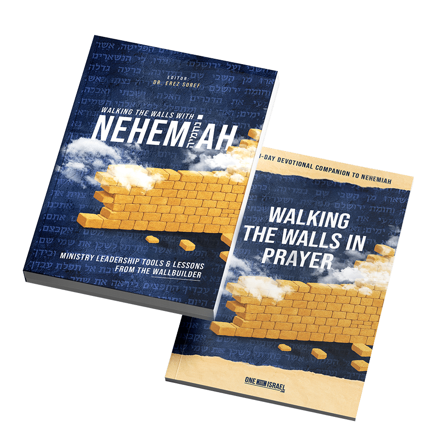 The Walking the Walls in Prayer 31-Day devotional companion was created to help you experience this powerful story personally.