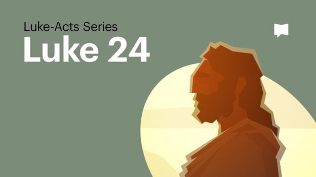 Luke-Acts Series cover: bold 'Luke 24' title with a stylized brown silhouette facing a pale sun on a muted green background.