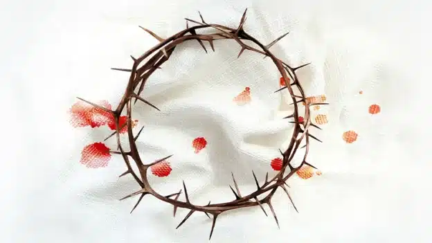 More Than Forgiveness - Yom Kippur Devotional