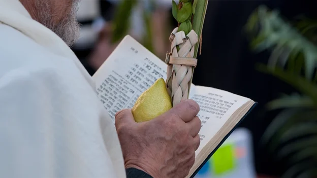 The Sukkot We Are Waiting For - Sukkot Devotional